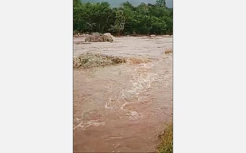 அரூர் நரிப்பள்ளி கல்லாற்றில் பெருக்கெடுத்து ஓடும் வெள்ளம். படம்: எஸ். செந்தில்