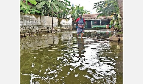 சேலத்தில் பெய்த தொடர் மழையால் சிவதாபுரம் எம்ஜிஆர் காலனி குடியிருப்பு பகுதியில் மழைநீர் சூழ்ந்தது. குளம் போல தேங்கியுள்ள மழைநீரில் தடுமாறிச் செல்லும் மூதாட்டி. படம்: எஸ். குரு பிரசாத்