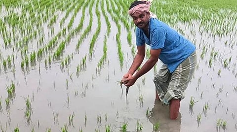 மயிலாடுதுறை மாவட்டம் சீர்காழியில் பெய்த கனமழையால் மூழ்கிய நெற்பயிர்கள்