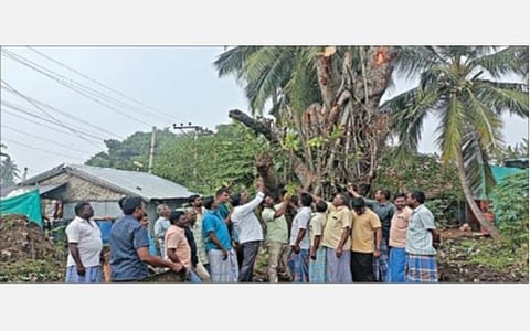 திருச்செங்கோடு அருகே ராஜாகவுண்டம்பாளையத்தில் வேருடன் பிடுங்கி காலி இடத்தில் நடப்பட்ட ஆலமரத்தை தொட்டு மகிழ்ந்த கிராம மக்கள்.