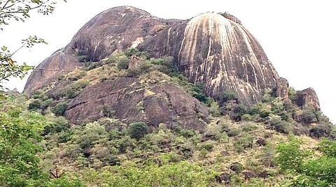 தோரணமலையாக மருவிய வாரணமலை