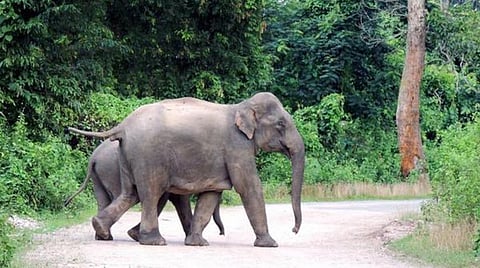 பிரதிநிதித்துவப் படம்