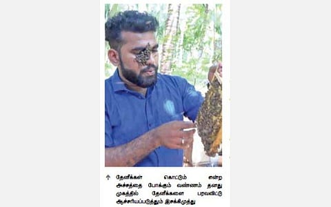 தேன் உற்பத்தியில் ரூ.18 லட்சம் வருவாய்: விரும்புவோருக்கு பயிற்சியும் அளிக்கும் களக்காடு இளைஞர்
