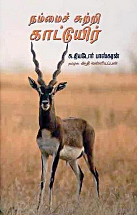 வெற்றி நூலகம்: கொஞ்ச நேரம் ஒதுக்கி புற உலகை உற்றுப் பாருங்கள்!