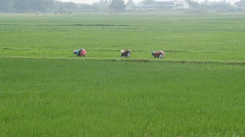 கோப்புப்படம்