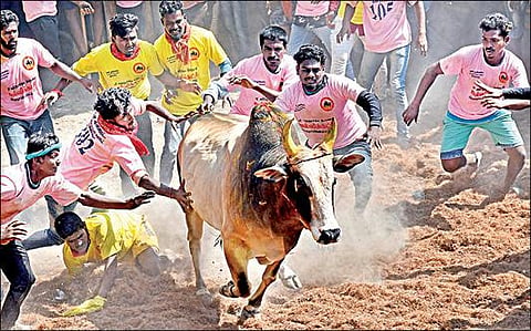 ஜல்லிக்கட்டு போட்டிகளை காண வருமாறு உச்ச நீதிமன்ற நீதிபதிகளுக்கு தமிழக அரசு அழைப்பு