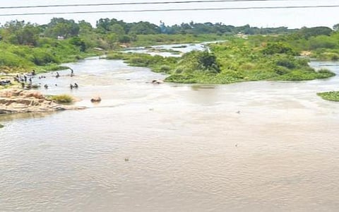 தாமிரபரணி நதியின் பெயரை ‘பொருநை’ என மாற்ற கோரிய வழக்கு: அரசுக்கு உயர் நீதிமன்றம் புதிய உத்தரவு