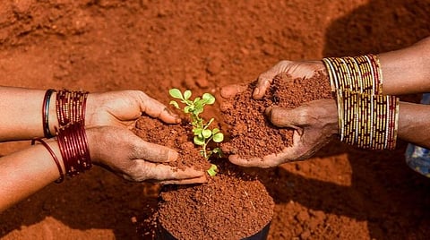 பிரதிநிதித்துவப் படம்
