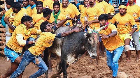 கோப்புப்படம்