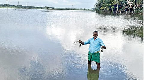 திருவையாறில் நேற்று முன்தினம் பெய்த மழையால் வயலில் தேங்கிய மழைநீரில் மூழ்கியுள்ள சம்பா பயிர்கள்.