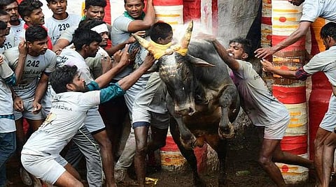கோயிலில் காப்பு கட்டும் பூஜையுடன் அலங்காநல்லூர் ஜல்லிக்கட்டு விழா ஏற்பாடு தொடங்கியது