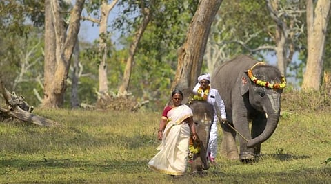 ஆவணப்பட பார்வை | The Elephant Whisperers: காடும் காதலும், நால்வரின் உணர்வுபூர்வ உறவும்!