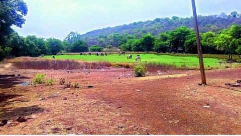 கேரள மாநிலம் சபரிமலையில் நிலம் கையகப்படுத்த உத்தரவு