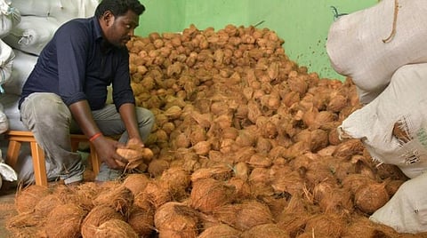 பிரதிநிதித்துவப் படம்