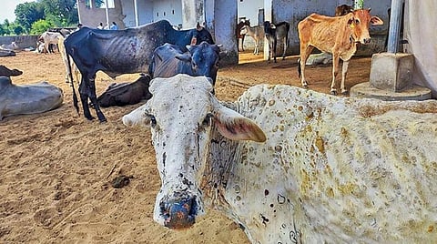 பிரதிநிதித்துவப் படம்