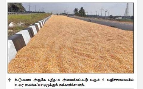 மக்காச்சோளத்துக்கு உரிய விலை கிடைக்க நடவடிக்கை தேவை: அரசுக்கு விவசாயிகள் கோரிக்கை