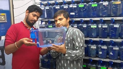 முதுகெலும்பு பிரச்சினைக்கு உதவும் ஜீப்ரா மீனின் புரோட்டீன்: ஆய்வு
