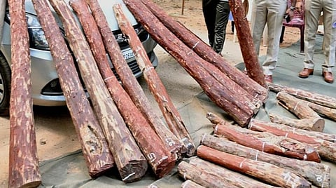 ரூ.48 கோடி மதிப்பிலான செம்மரக் கட்டைகள் பதுக்கல் வழக்கில் சசிகலா உறவினர் பாஸ்கர் கைது