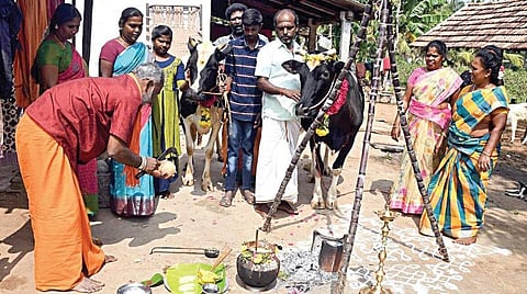 அறிவோம் அறுவடைத் திருநாளை...
