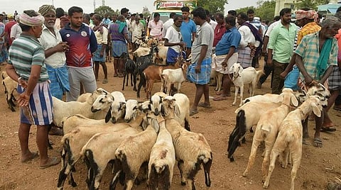 பிரதிநிதித்துவப் படம்