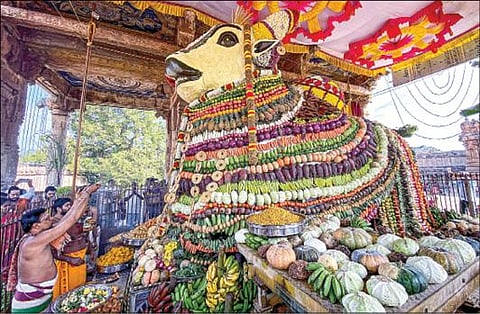 மாட்டுப் பொங்கல் விழாவை முன்னிட்டு, தஞ்சாவூர் பெரிய கோயிலில் நேற்று 2 டன் எடையில் காய்கறிகள், பழங்கள், இனிப்புகள் உள்ளிட்ட பொருட்களால் நந்தியம் பெருமானுக்கு அலங்காரம் செய்யப்பட்டு சிறப்பு வழிபாடுகள் நடைபெற்றன. படம்: ஆர்.வெங்கடேஷ்