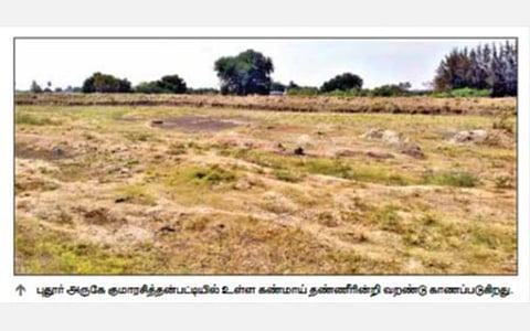 பருவமழை பொய்த்ததால் தூத்துக்குடியில் வறண்ட நீர்நிலைகள் வறண்டன: கோடையில் குடிநீர் தட்டுப்பாடு ஏற்படும் அபாயம்