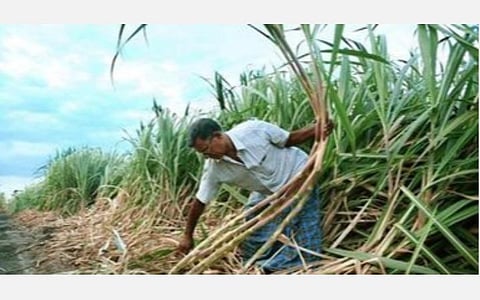 பிரதிநிதித்துவப் படம்