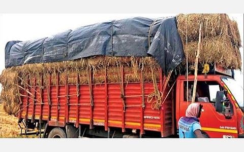 வெளி மாவட்டத்திலிருந்து கொள்முதல் செய்த வைக்கோல் கட்டை லாரியிலிருந்துஇறக்கும் பணியில் ஈடுபட்ட போச்சம்பள்ளி பகுதி விவசாயிகள்.
