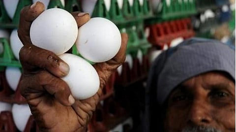 பிரதிநிதித்துவப் படம்