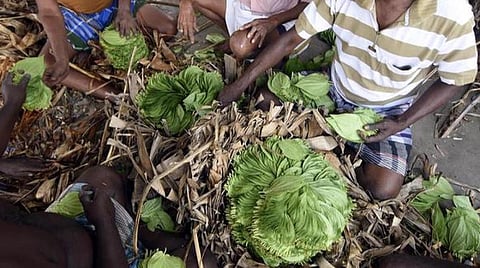 பிரதிநிதித்துவப் படம்