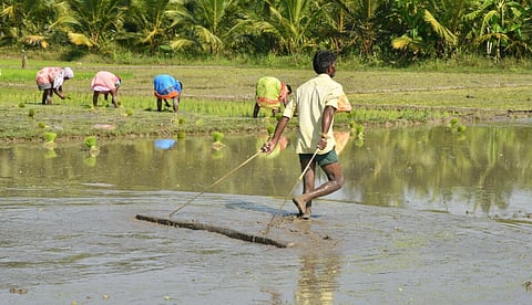 பிரதிநிதித்துவப் படம்