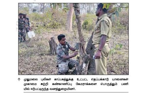 புலி நடமாட்டத்தை கண்காணிக்க தெப்பக்காடு முகாமை சுற்றி 26 கேமராக்கள்