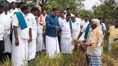 திருவாரூர் மாவட்டம் மஞ்சக்குடி கிராமத்தில் மழையால் பாதித்த சம்பா நெற்பயிர்களை பார்வையிட்ட பாமக தலைவர் அன்புமணி ராமதாஸ்