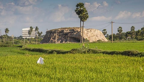 மதுரை மேலூர் அருகே உள்ள பூசாரிப்பட்டியில் கல்குவாரிக்காக உடைக்கப்பட்டு அரசின் தடையால் எஞ்சிய பாறையில் ஏராளமான பாறை ஓவியங்கள் உள்ளன