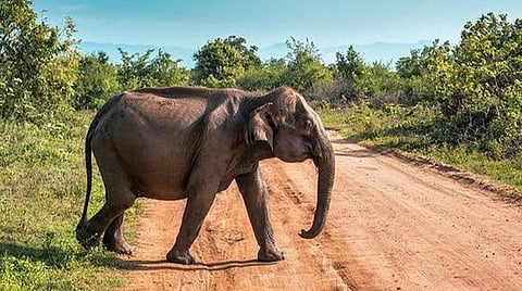 பிரதிநிதித்துவப் படம்