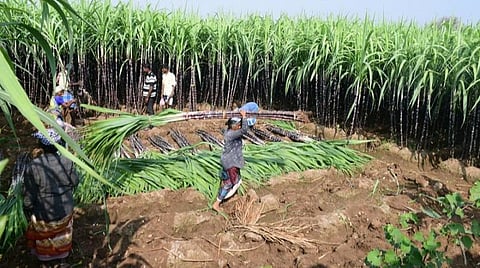 பிரதிநிதித்துவப் படம்