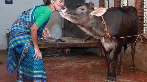 பிரதிநிதித்துவப் படம்