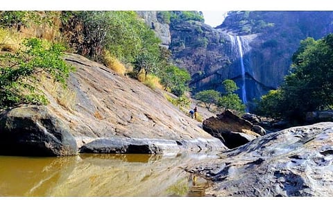 ஆண்டு முழுவதும் தண்ணீர் கொட்டும் விருப்பாச்சி தலையூத்து அருவி சுற்றுலாத் தலமாகுமா?