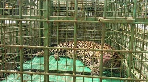 பிரதிநிதித்துவப் படம்