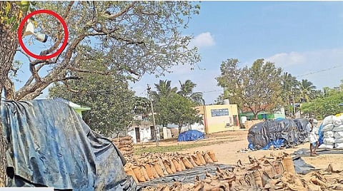சிசிடிவி கேமரா மூலம் கண்காணிக்கப்படும் பரம்பூர் நேரடி கொள்முதல் நிலையம். | படங்கள்: கே.சுரேஷ் |