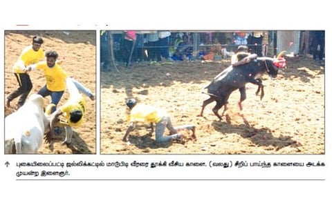 புகையிலைப்பட்டி ஜல்லிக்கட்டில் 490 காளைகள் பங்கேற்பு: 25 பேர் காயம்