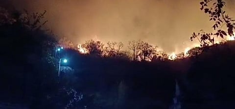 ஸ்ரீவில்லிபுத்தூர் அருகே குடைவரை கோயில் மலையில் தீ விபத்து