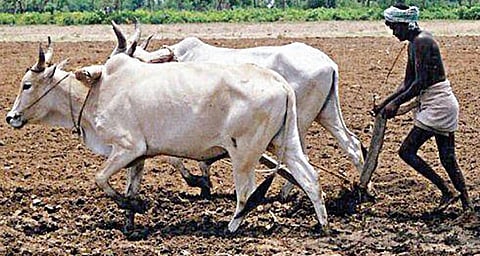 கதைக் குறள் - 26: மழையால் கலப்பைக்கு வேலை வந்தது