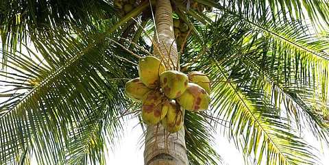 கோப்புப்படம்