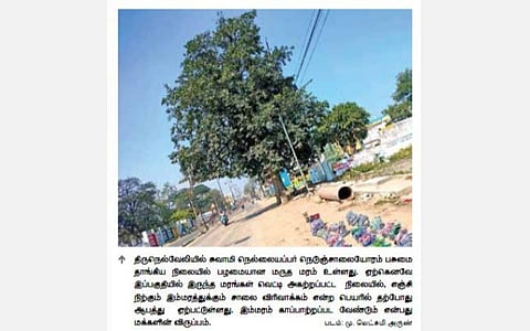 நெல்லையில் மருத மரத்துக்கு திடீர் ஆபத்து - வெட்டி சாய்க்க திட்டம்?