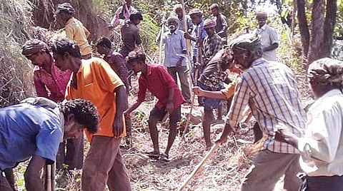 பழநி வனப்பகுதியில் தீத்தடுப்பு கோடுகள்