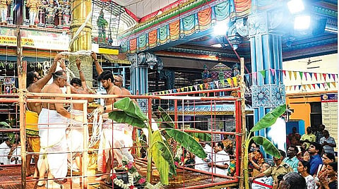அடையாறு ஸ்ரீஅனந்த பத்மநாப சுவாமி கோயிலில் 29-ம் ஆண்டு பிரம்மோற்சவ விழா நேற்று கொடியேற்றத்துடன் தொடங்கியது. இதில் ஏராளமான பக்தர்கள் கலந்துகொண்டனர். | படங்கள்: பு.க.பிரவீன் |