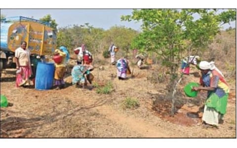 தருமபுரி மாவட்டம் தொப்பூர் காப்புக்காட்டில், மரக்கன்றுகளுக்கு தண்ணீர் ஊற்றும் பணியில் ஈடுபட்டுள்ள தொழிலாளர்கள்.