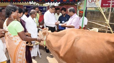 கோமாரி நோய் தடுப்பூசி போடும் நிகழ்வை ஆட்சியர் தொடங்கி வைத்த காட்சி