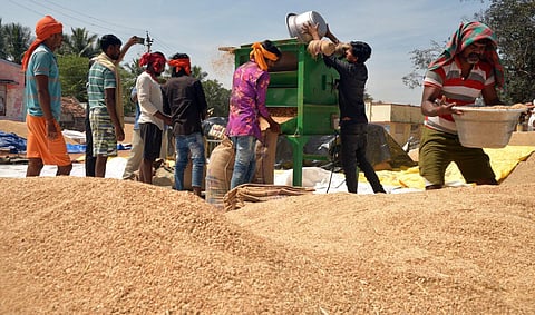 திருச்சியில் பணிபுரியும் வட மாநில தொழிலாளர்கள்